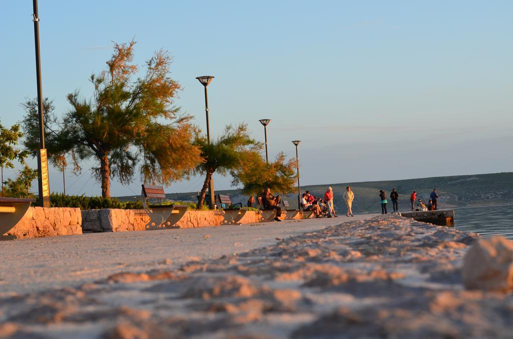 Apartments Dalmacija Starigrad Paklenica Ngoại thất bức ảnh