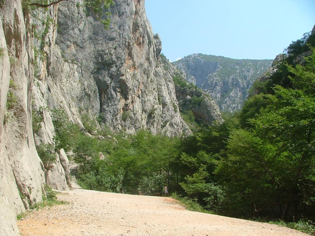 Apartments Dalmacija Starigrad Paklenica Ngoại thất bức ảnh